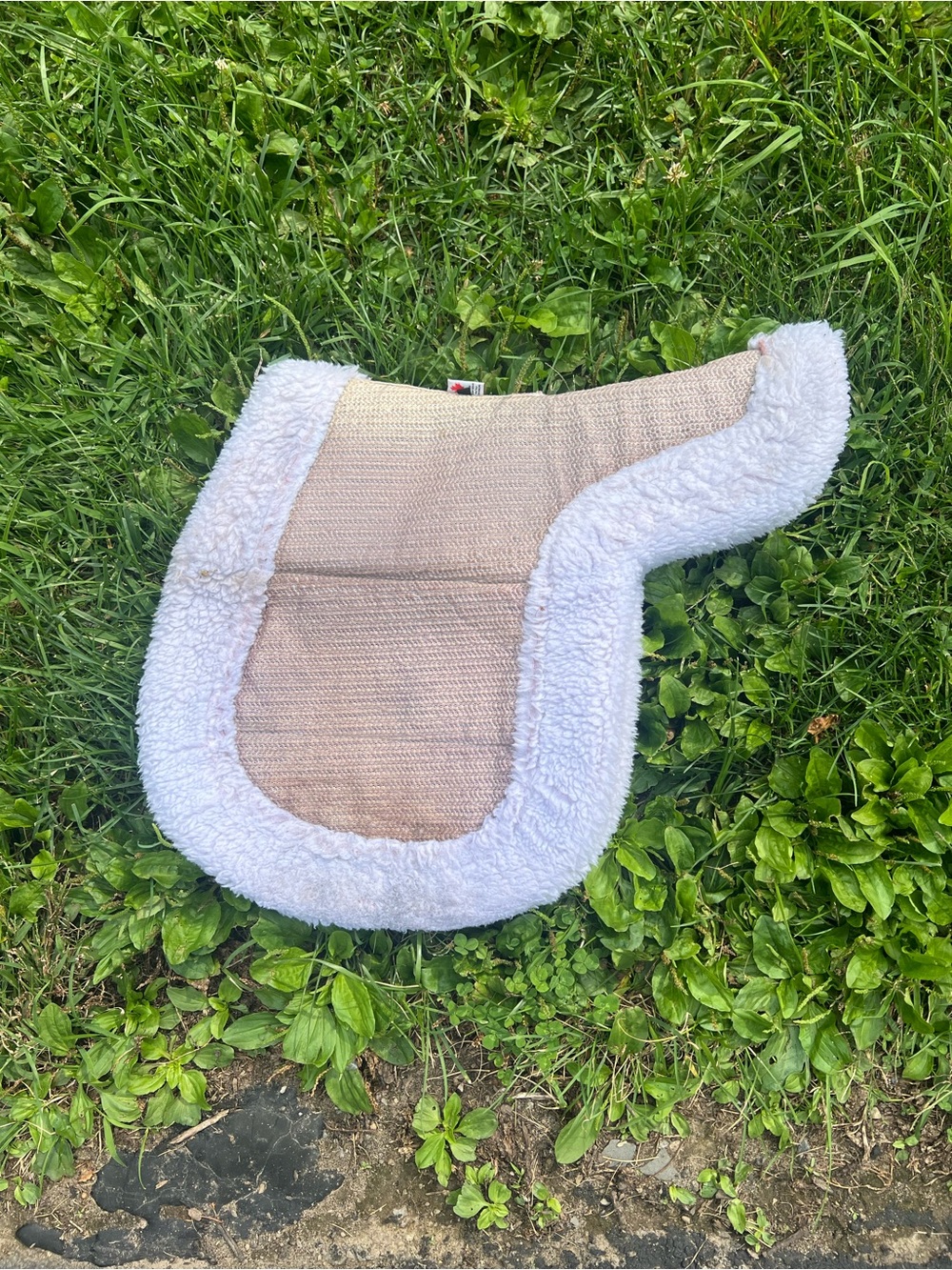 Ecogold show pad (M)